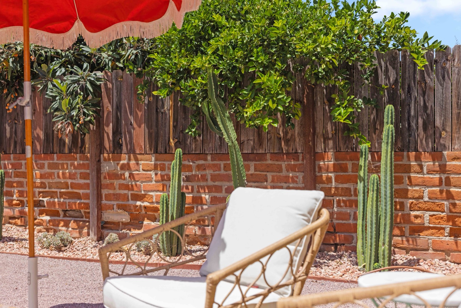 The cactus garden and lounge seating