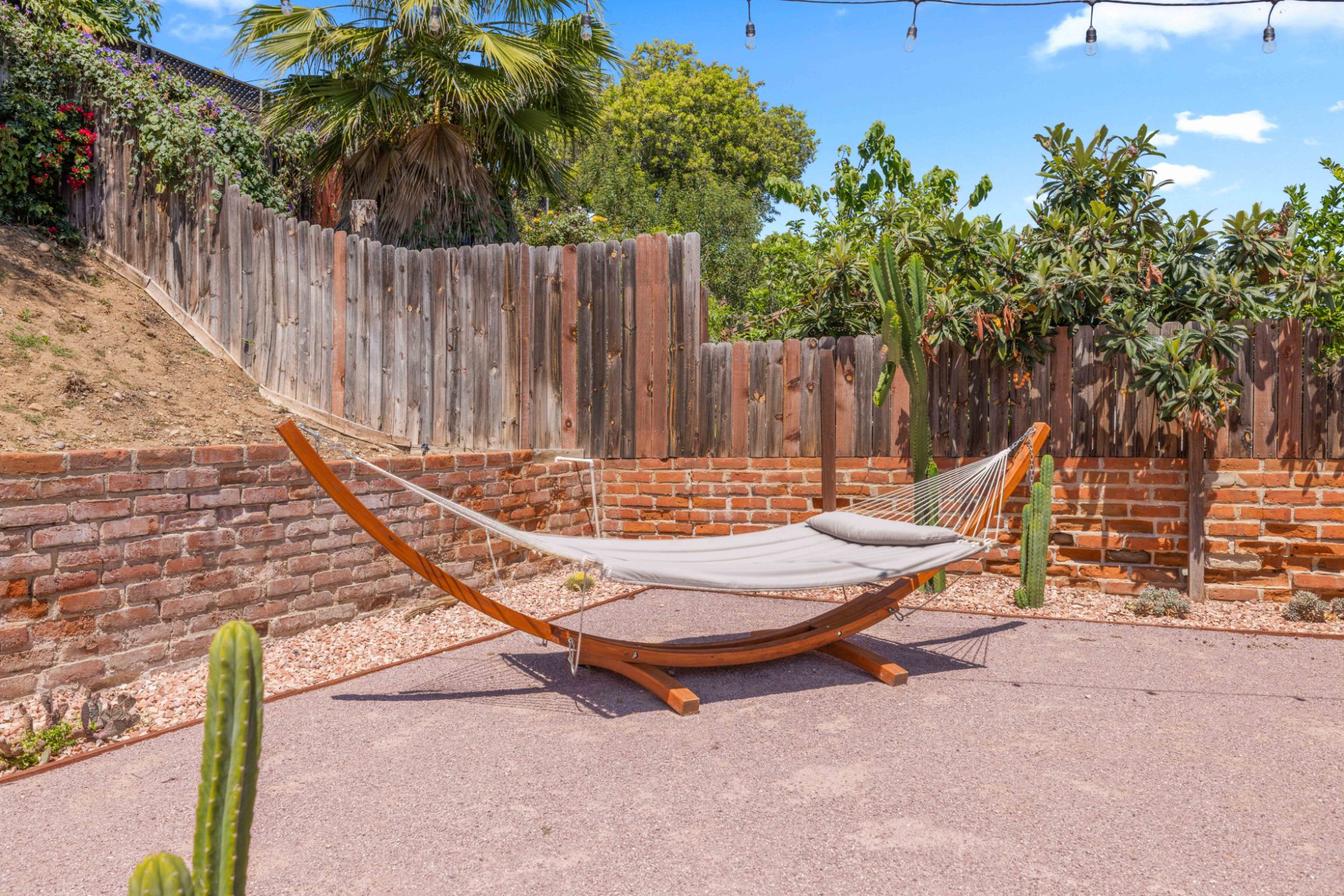 The backyard